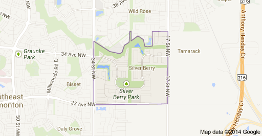 Silver Berry Edmonton Homes For Sale