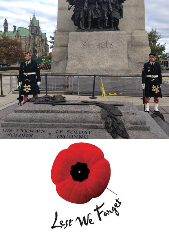 NOV 11 2014