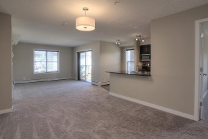 534-Watt-Blvd-SW-Edmonton-AB-large-011-Living-Room-1500x1000-72dpi